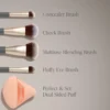 JANE IREDALE PRO SERIES Essentials Brush Set
